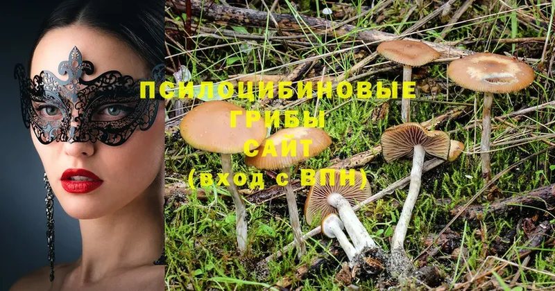 Псилоцибиновые грибы Magic Shrooms  Карабаш 